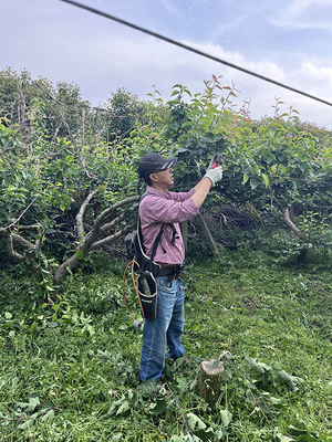 2024年浙江省“百姓學習之星” | 施星仁 扎根技術服務的“鄉(xiāng)土工匠”